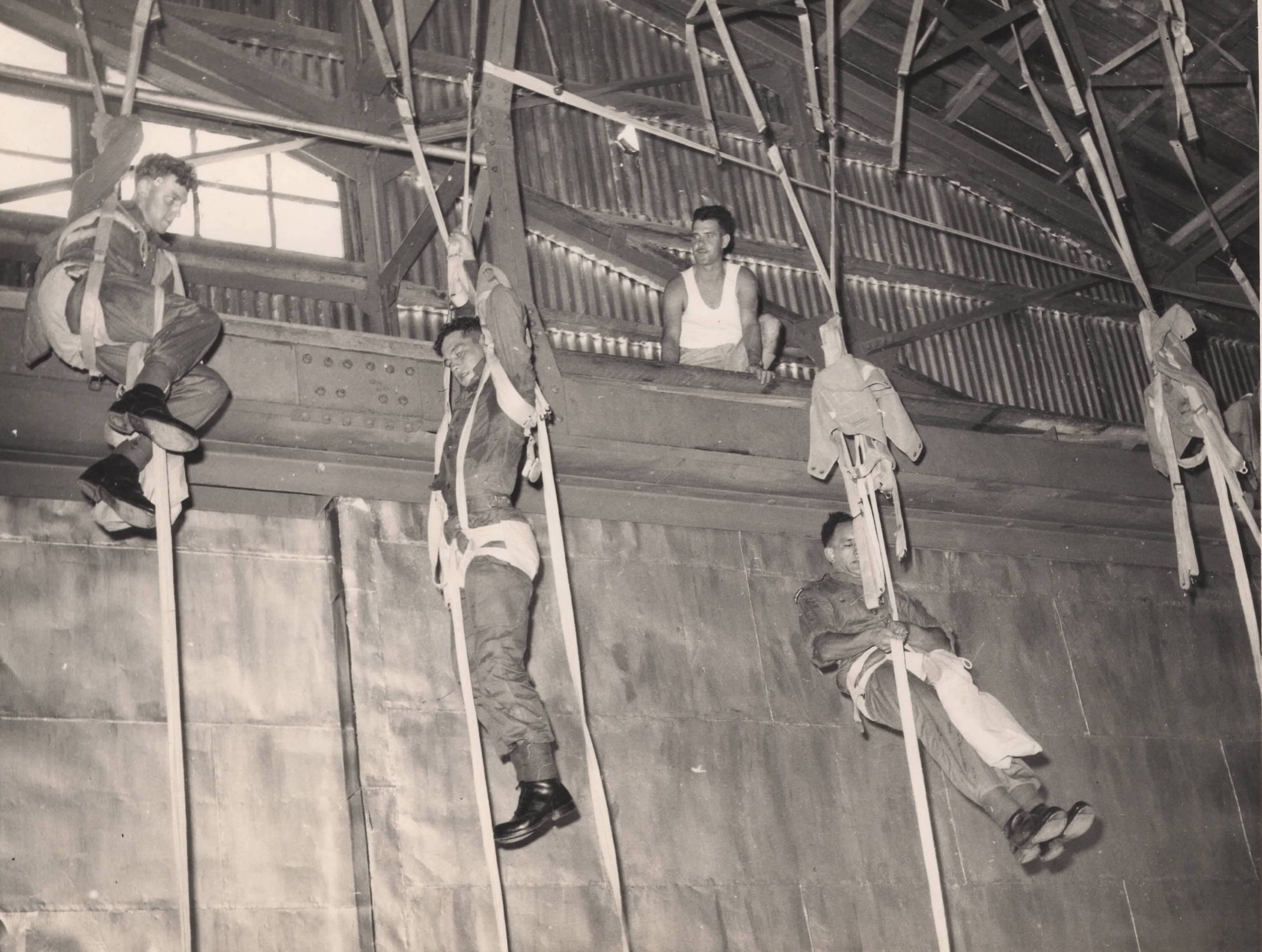 TREE LOWERING TRAINING