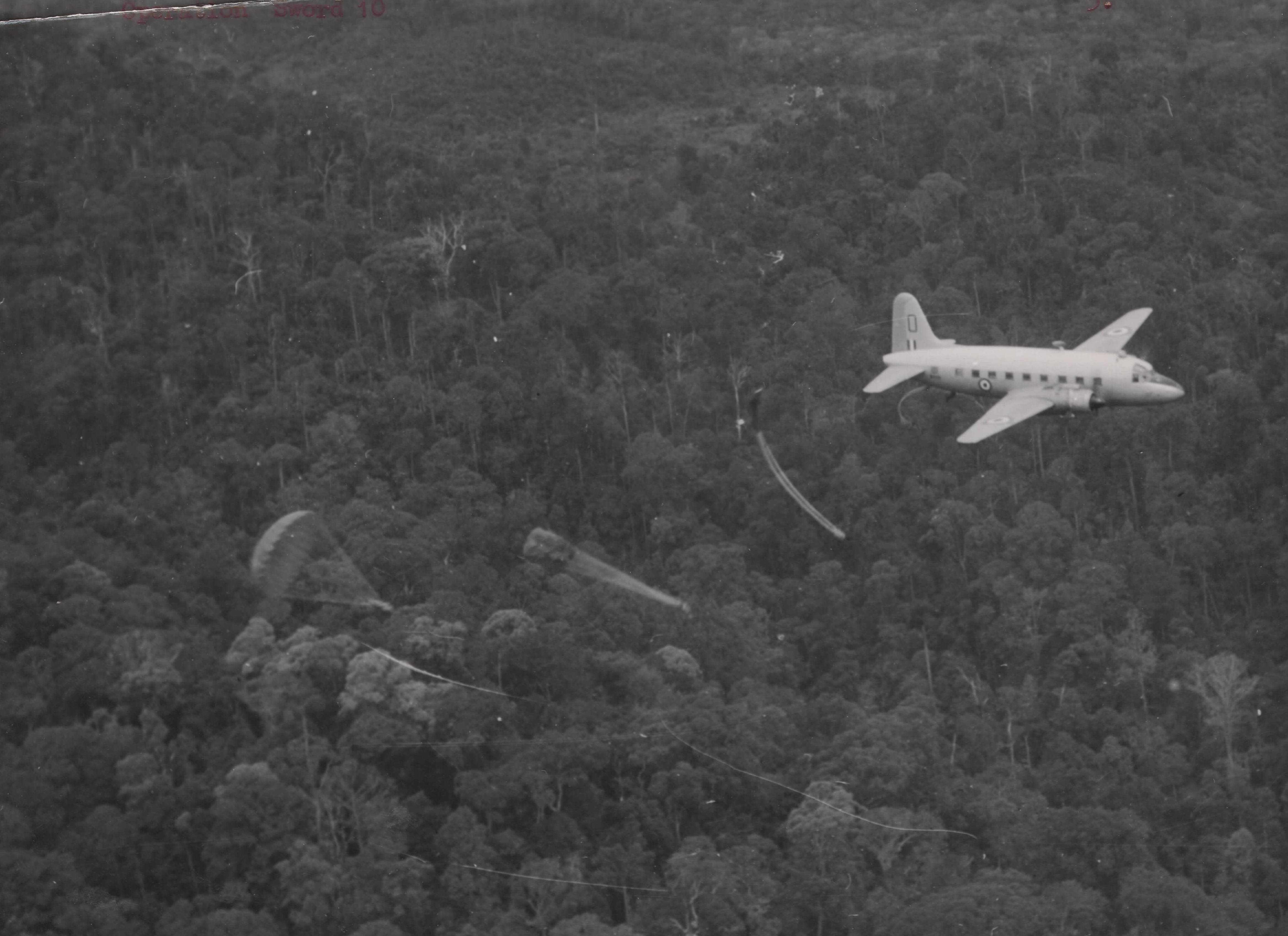 VALETTA TREE DROPPING