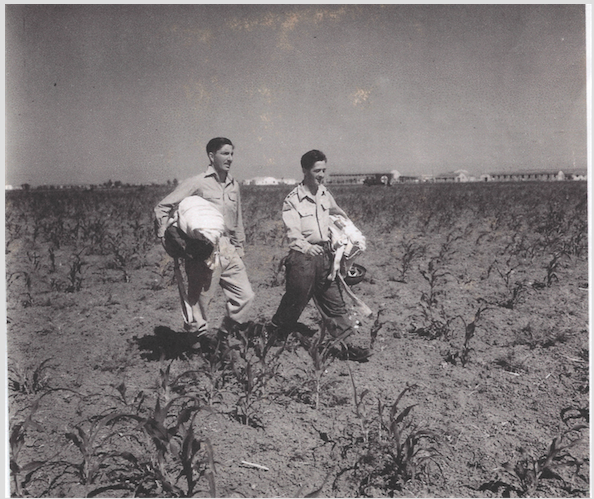 CONNOR AND HAWLEY ss